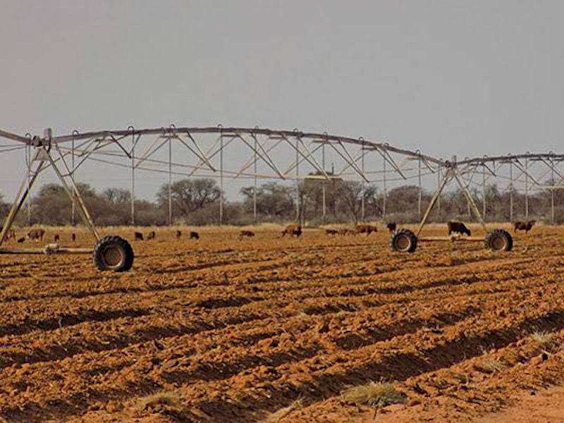 scrolla.africa