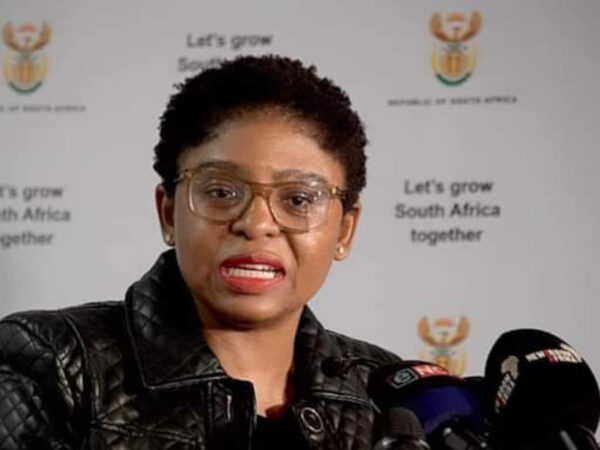 GNU ‘making lemonade out of lemons’ - Scrolla.Africa