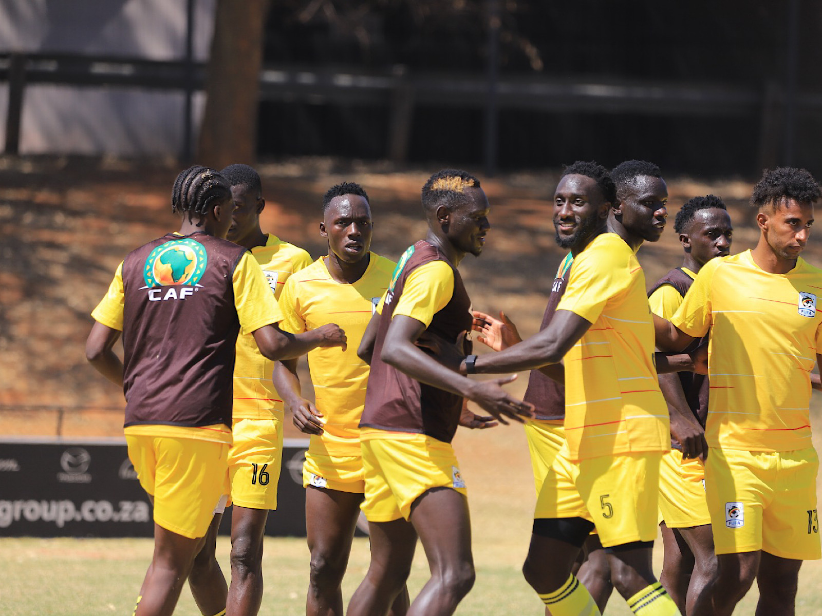 Uganda's Cranes in Joburg
