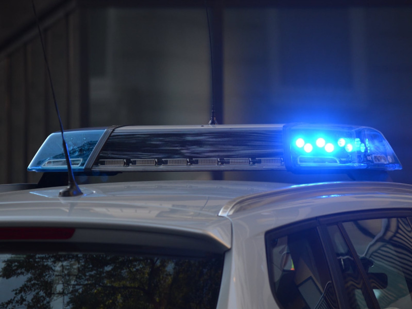 Polisieligte