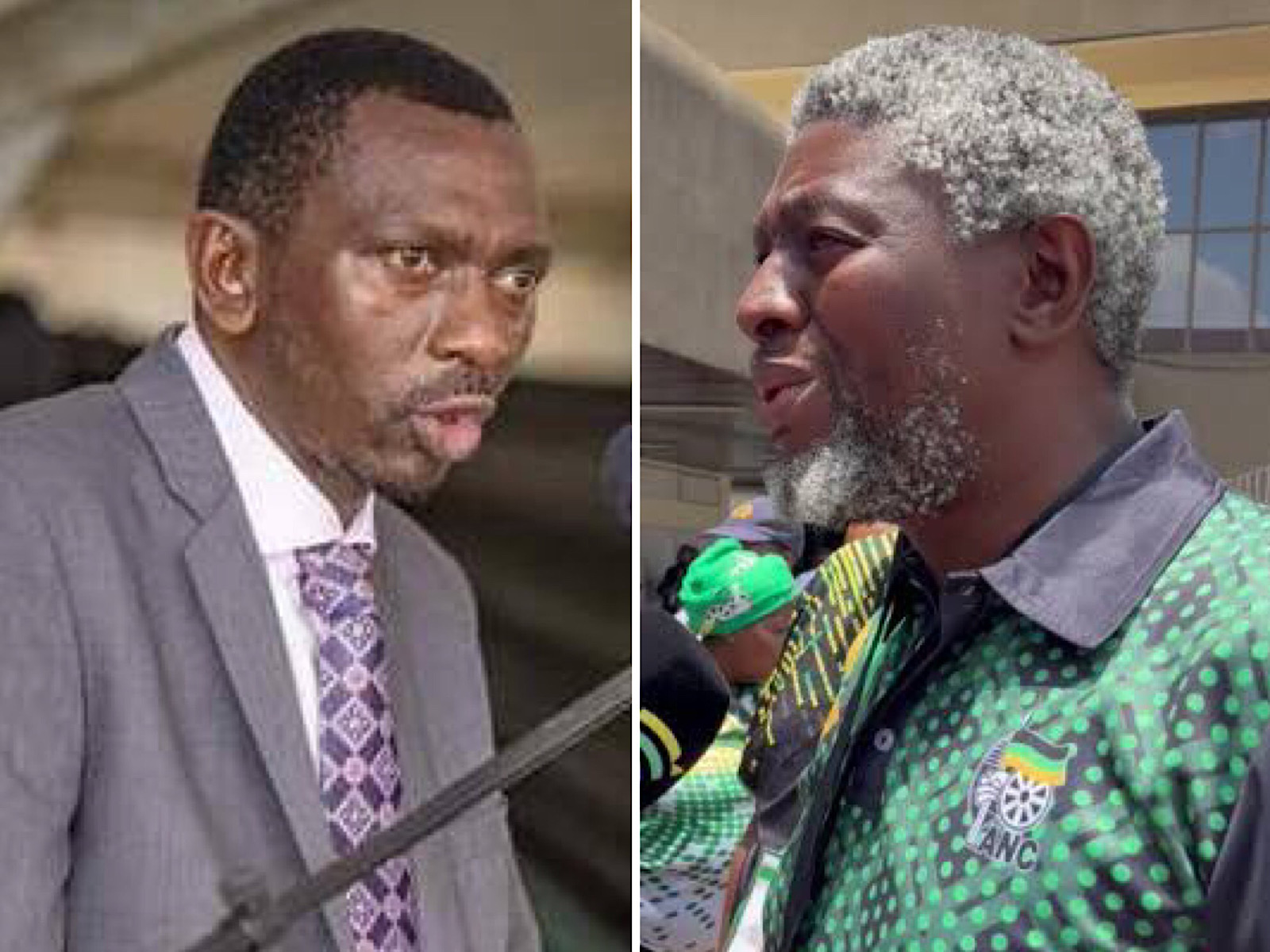 Disbanded KZN news bites: Provincial exco under Duma and Mtolo may be disbanded ...