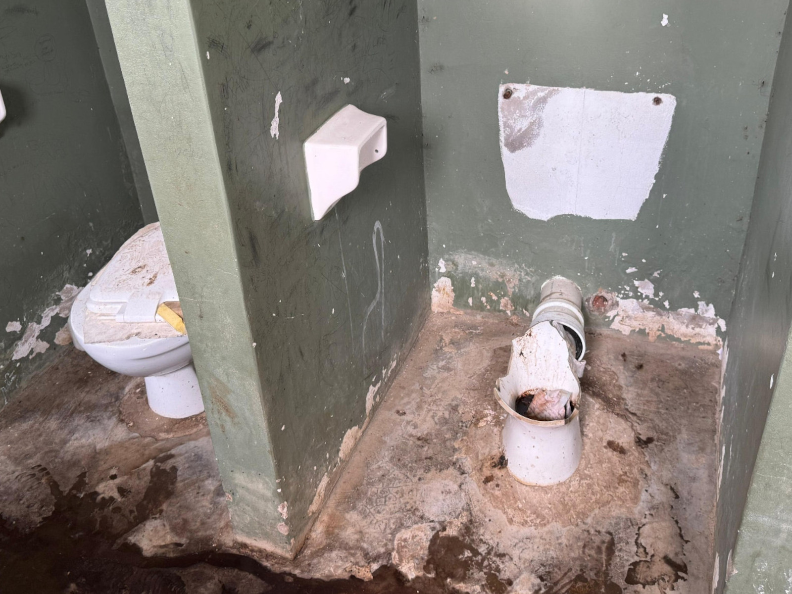 Children forced to use floor as toilet at special needs school ...