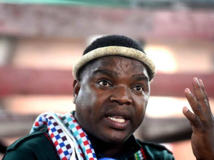 Injeje says Ngizwe Mchunu is right about protecting Zulu culture ...