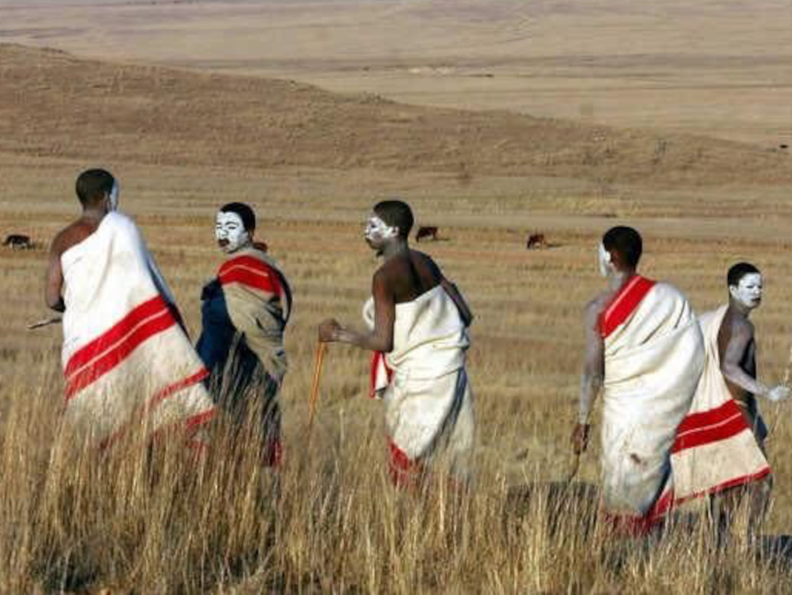 Thugs rob children bringing food to Kariega initiation school - Scrolla ...