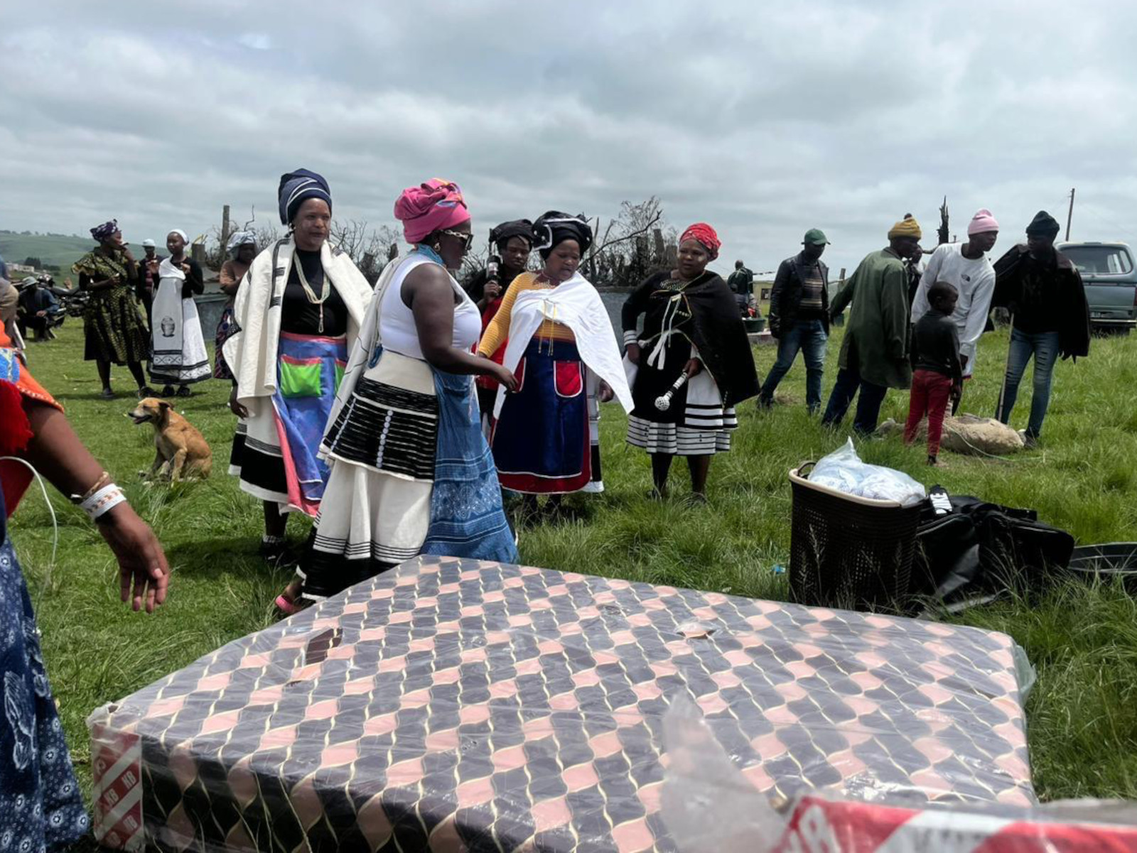 How one Gqeberha mother saved money on her son’s umgidi - Scrolla.Africa