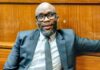 Big cases return to Gauteng courts and commission