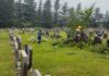 Johannesburg parks workers clean up Westpark Cemetery