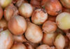 Massive onion price spike hits South African shoppers