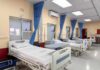 Three die on cruise ship as rat virus hits Johannesburg