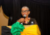 Mbalula dumps Gumede from new eThekwini leadership task team