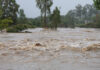 Storm breaks Nelson Mandela Bay drought but destroys homes