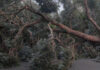 Brutal storms trap communities and force national disaster