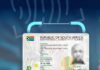 Home Affairs cannot track South Africans with dual citizenship