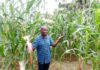 Former principal fights hunger with vegetables