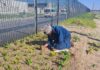 Rising prices force pensioners back to work