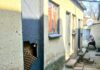 Backroom queen banks R40,000 a month from foreign shop owners