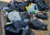 Garbage piles up as Johannesburg runs out of trucks and landfill space