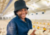 She didn’t inherit a farm, she built one anyway