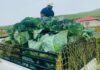 Cala farmer plants his way into creating jobs