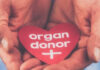 Thousands wait as Gauteng pushes for more organ donors