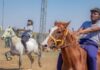 Newcastle horse race gives struggling economy a boost