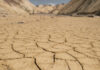 Weather service warns very hot, very dry summer is coming