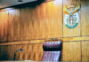 Courts collide over Anele, Madiba and a coded bribe
