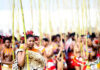 Reed Dance heals wounds as African maidens flock to KZN